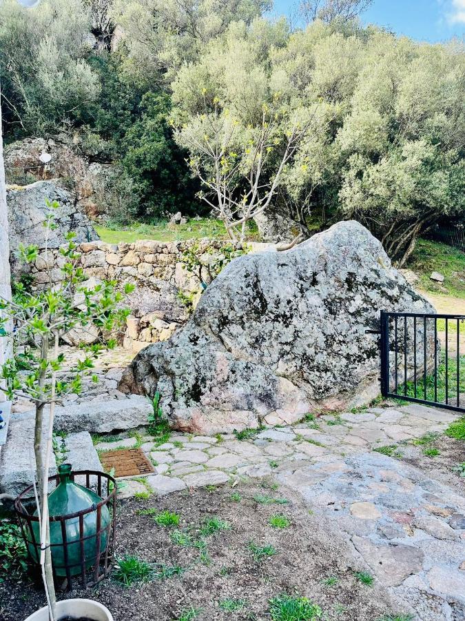 Maison De Campagne, Deux Chambres, Vue Sur Les Montagnes Sartène Zewnętrze zdjęcie